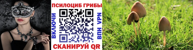 Псилоцибиновые грибы MAGIC MUSHROOMS Сосновый Бор