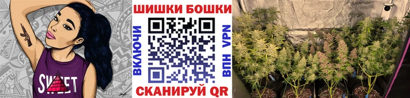 МАРИХУАНА план Сосновый Бор